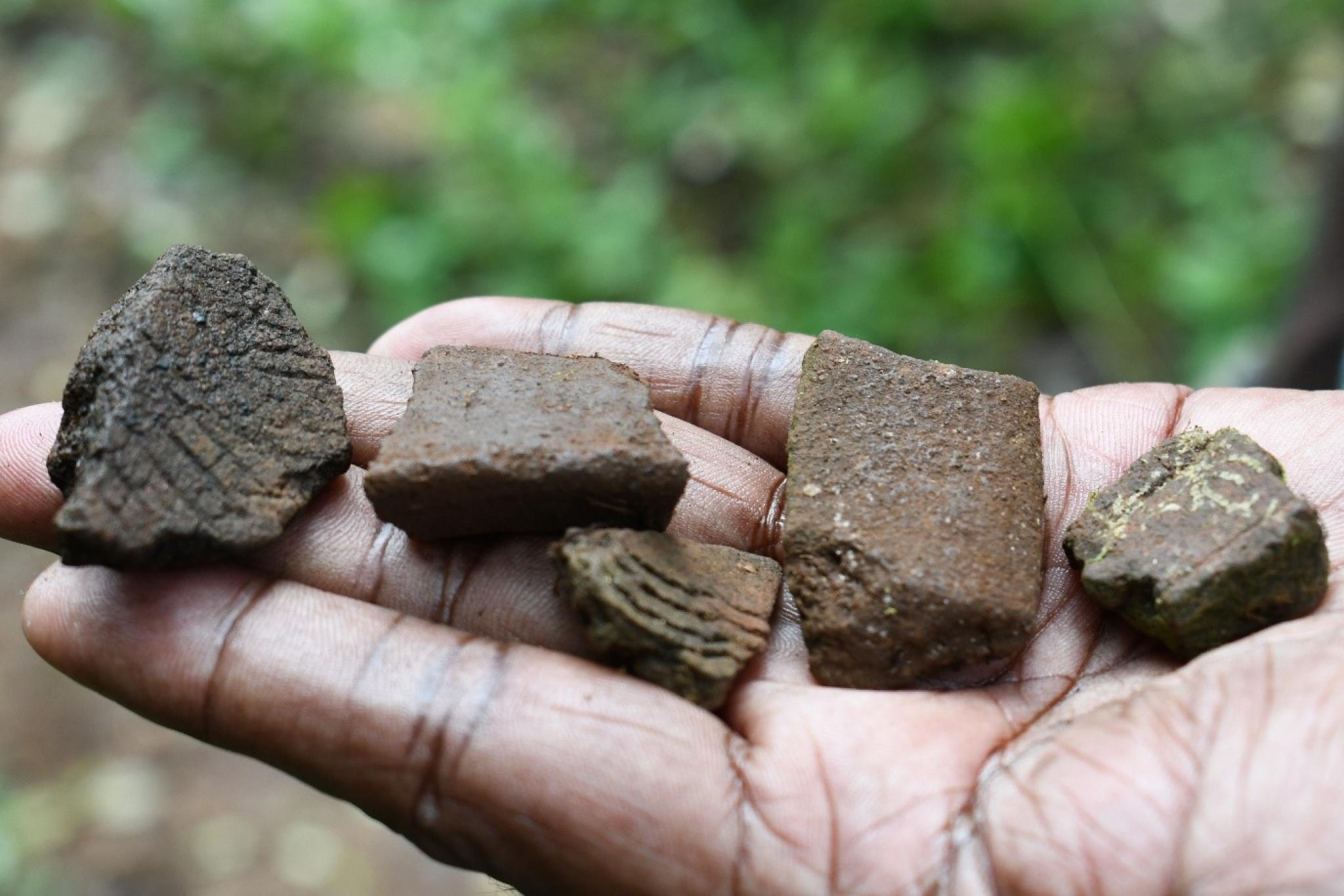 PNG Archaeology Field School