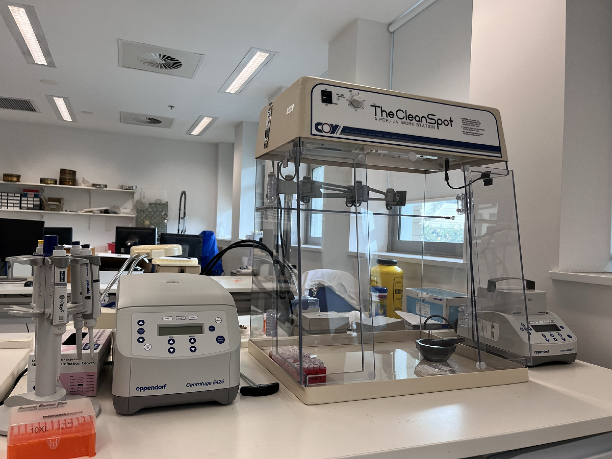 Bone palaeoproteomics (Image: Gouri Banerji)