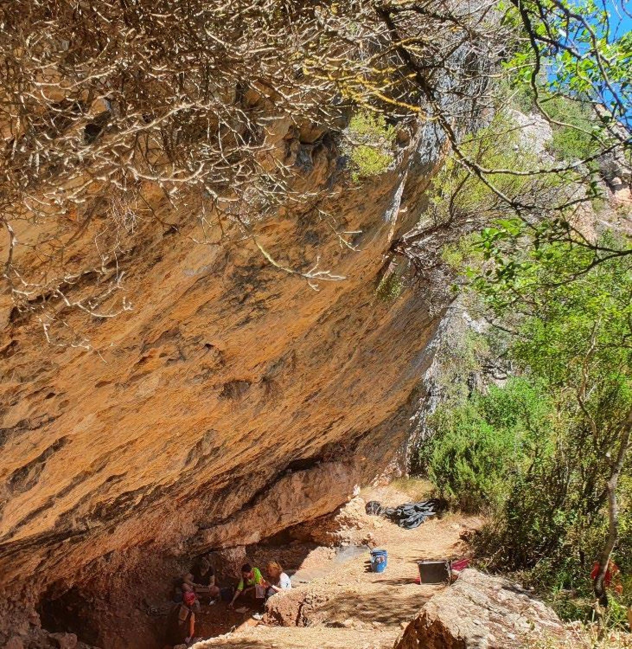 Neanderthal Lifeways Archaeology Field School