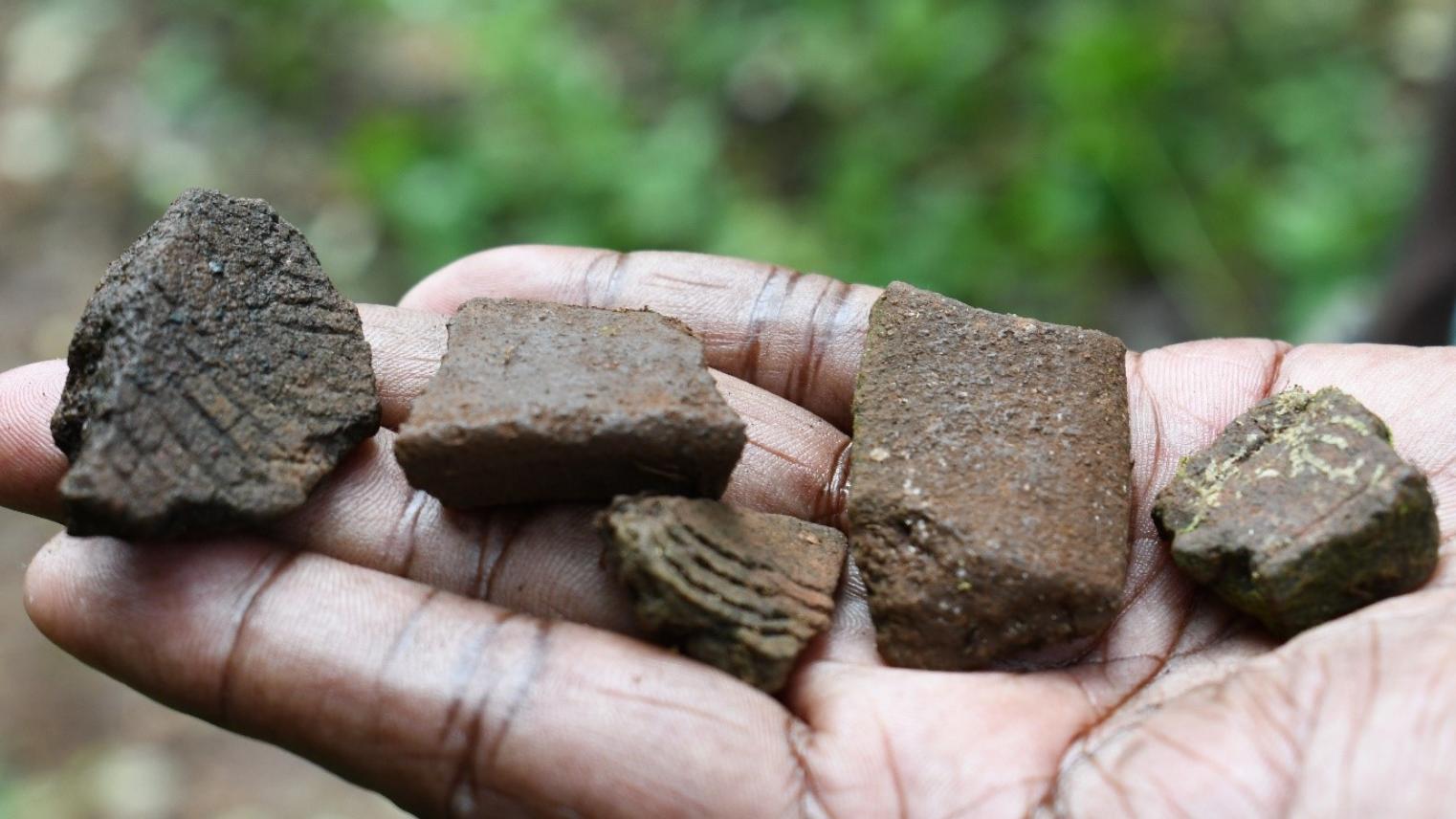 PNG Archaeology Field School